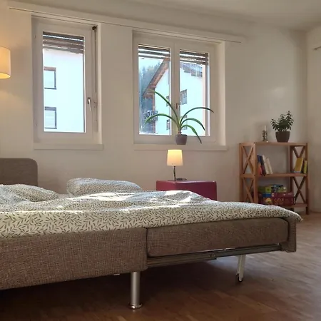 Am Knotenpunkt Zu Vielen Buendner Skigebieten Appartement Thusis